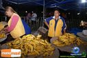 DSC03837.jpg