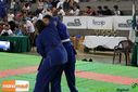 IMG_2281.jpg