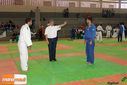 Filename=IMG_2431.jpg
Filesize=105KiB
Dimensions=790x527
Date added=Nov 23, 2014 IMG_2431.jpg