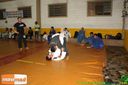 IMG_3536.jpg