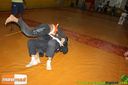IMG_3619.jpg