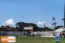 DSC00980.jpg