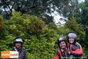 DSC03177.jpg