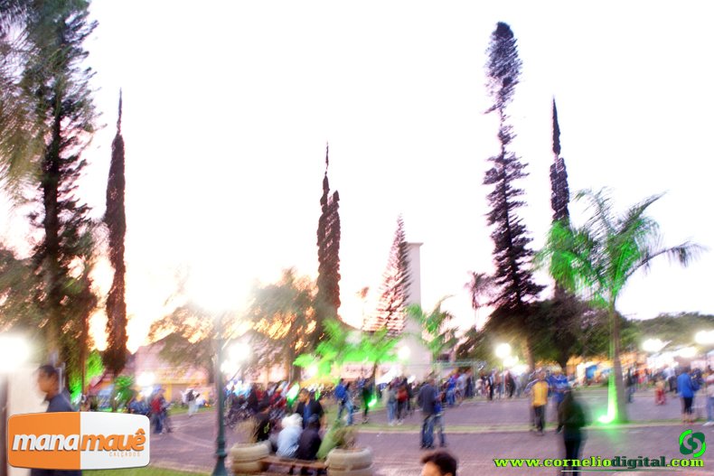 DSC03342.jpg