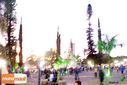 DSC03342.jpg