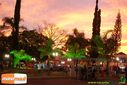DSC03349.jpg