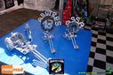 DSC00953.jpg