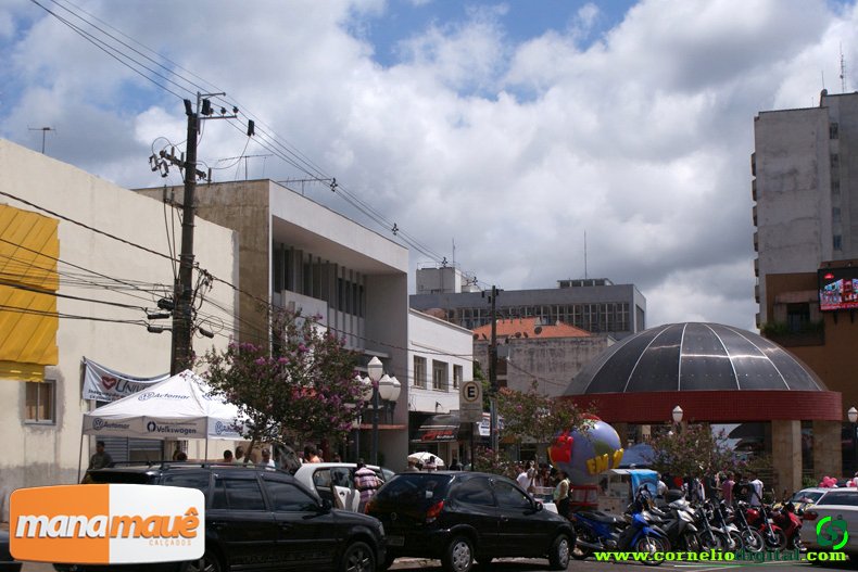 DSC08300.jpg