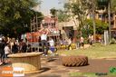 IMG_8973.jpg
