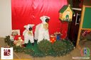 IMG_0799.jpg