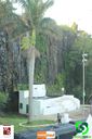 Filename=IBC_126.jpg
Filesize=193KiB
Dimensions=790x1187
Date added=Dec 14, 2014 IBC_126.jpg