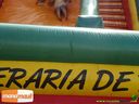 15-03-2014_confcasacriancas_010.jpg