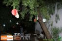 DSC02475.jpg