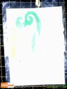 DSC02552.jpg