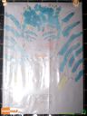 DSC02571.jpg