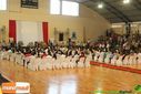 Filename=IMG_2495.jpg
Filesize=115KiB
Dimensions=790x527
Date added=Dec 01, 2014 IMG_2495.jpg