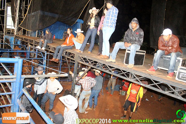 IMG_0467.jpg