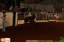 IMG_0287.jpg