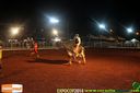 IMG_0421.jpg