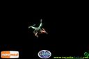 Filename=IMG_0307.jpg
Filesize=32KiB
Dimensions=790x526
Date added=Aug 07, 2014 IMG_0307.jpg