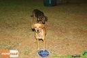 Filename=IMG_0180.jpg
Filesize=142KiB
Dimensions=800x532
Date added=Aug 08, 2014 IMG_0180.jpg