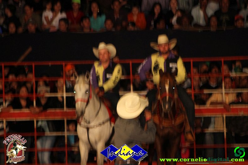 IMG_0064.jpg
