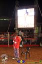 IMG_0082.jpg