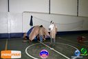 IMG_0062.jpg