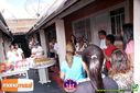 DSC08241.jpg