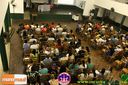 Filename=IMG_7719.jpg
Filesize=139KiB
Dimensions=790x526
Date added=Oct 11, 2014 IMG_7719.jpg