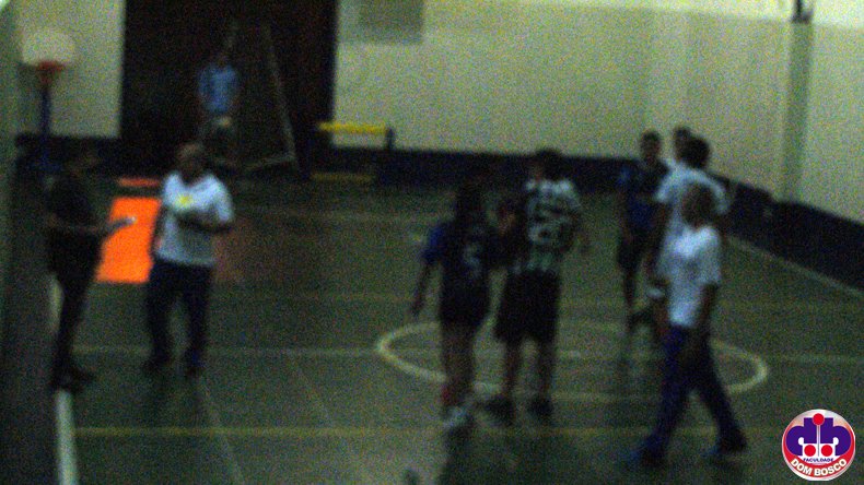 DSC04235.jpg
