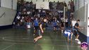 DSC04271.jpg