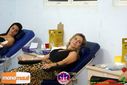 Filename=DSC06147.jpg
Filesize=77KiB
Dimensions=790x527
Date added=Feb 26, 2014 DSC06147.jpg