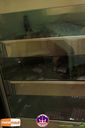DSC06275.jpg