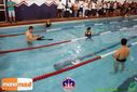 Filename=DSC06355.jpg
Filesize=106KiB
Dimensions=790x527
Date added=Feb 28, 2014 DSC06355.jpg