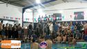 DSC06510.jpg