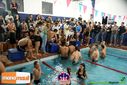 DSC06535.jpg