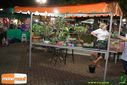 Filename=DSC01608.jpg
Filesize=115KiB
Dimensions=790x527
Date added=Apr 13, 2014 DSC01608.jpg