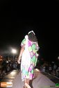 DSC07550.jpg