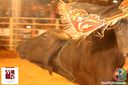 IMG_1184.jpg