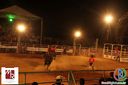 IMG_1221.jpg