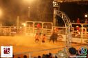 IMG_1251.jpg