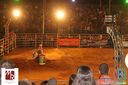 IMG_2402.jpg