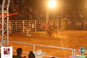 IMG_2426.jpg