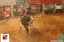 IMG_2539.jpg