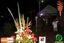 IMG_2897.jpg