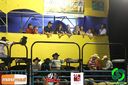 IMG_0200.jpg
