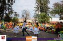 DSC_0804.jpg
