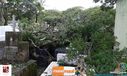 08-11-2015_chuva_forte_011.jpg