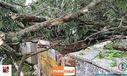 08-11-2015_chuva_forte_012.jpg